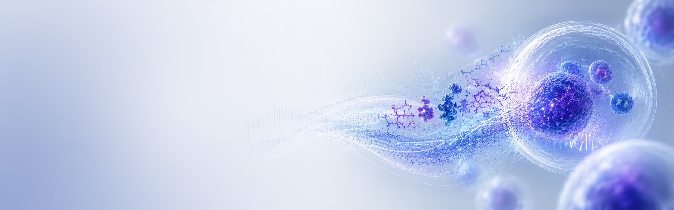 banner laptop bg