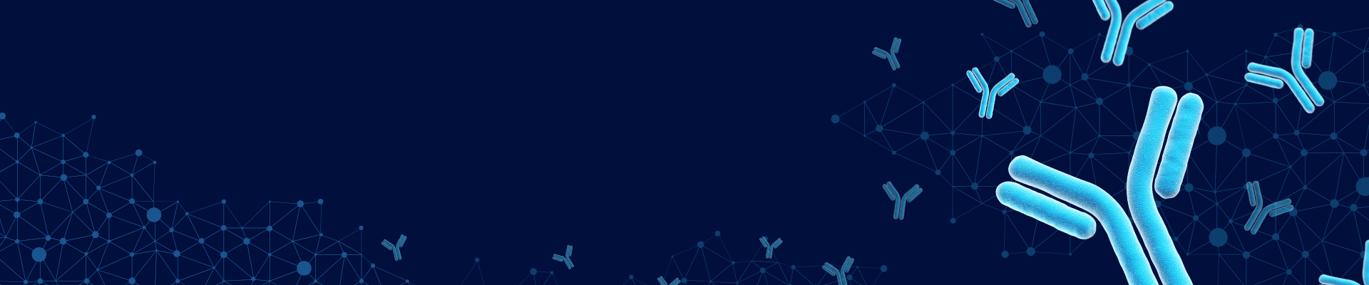 banner laptop bg